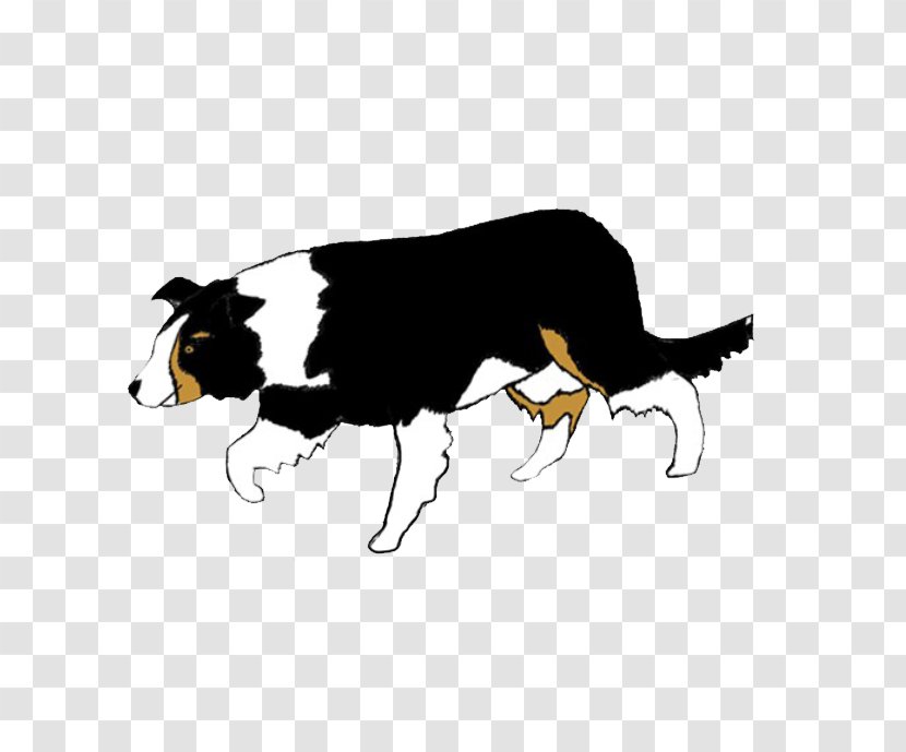 Dog Breed Border Collie Rough Clip Art - Tail Transparent PNG