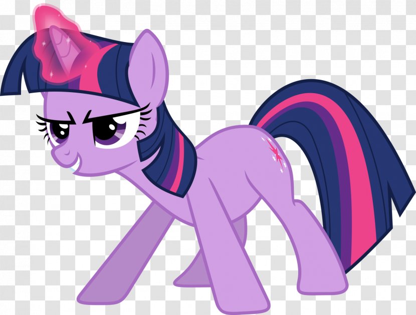 Twilight Sparkle Rainbow Dash My Little Pony Princess Cadance - Frame Transparent PNG