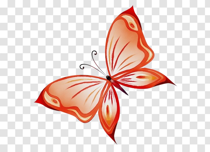 Watercolor Butterfly Background - Moths And Butterflies Logo Transparent PNG