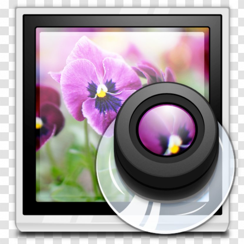 Camera Lens Violet Lilac Purple - Loupe Transparent PNG