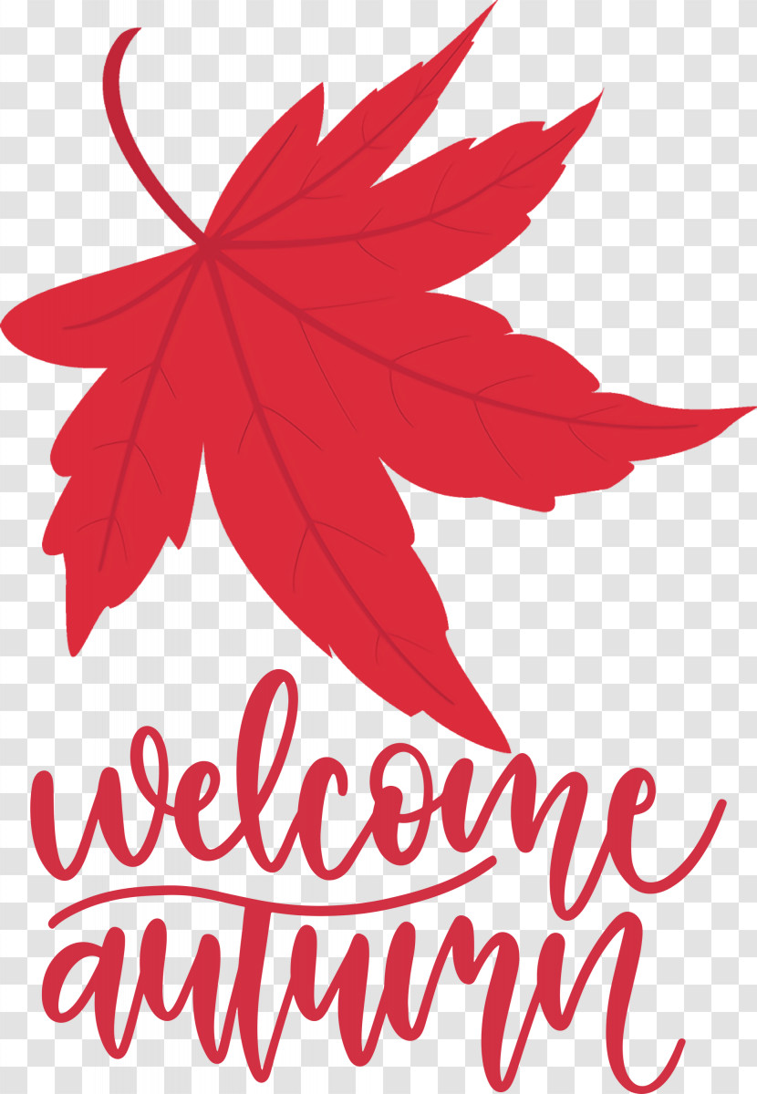 Welcome Autumn Autumn Transparent PNG