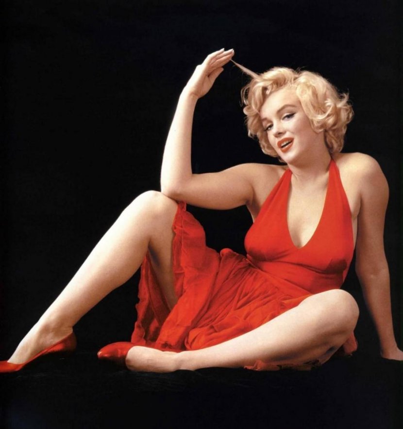 Marilyn Monroe Love, Photographer Photography - Flower Transparent PNG
