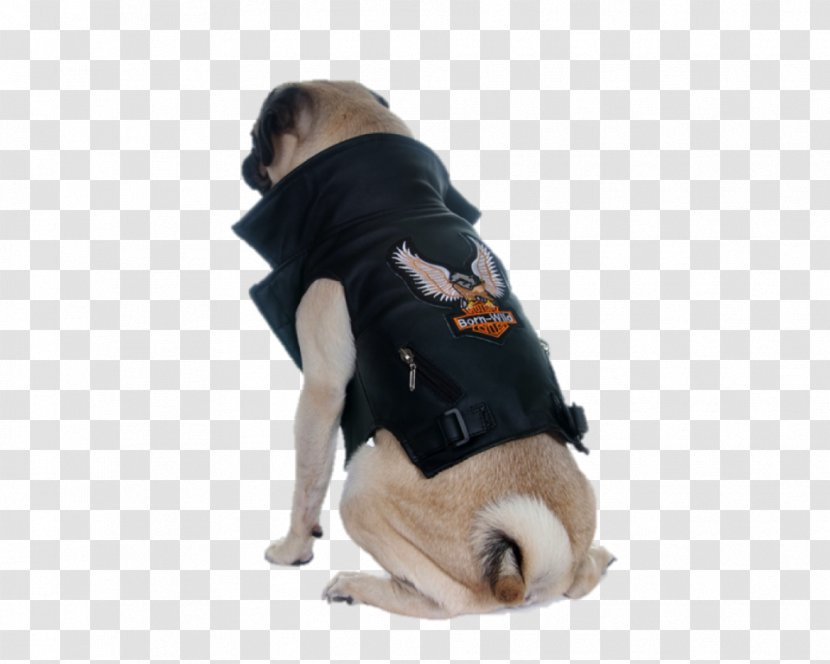 Dog Breed Pug Clothing Waistcoat Costume - Fashion - Jacket Transparent PNG