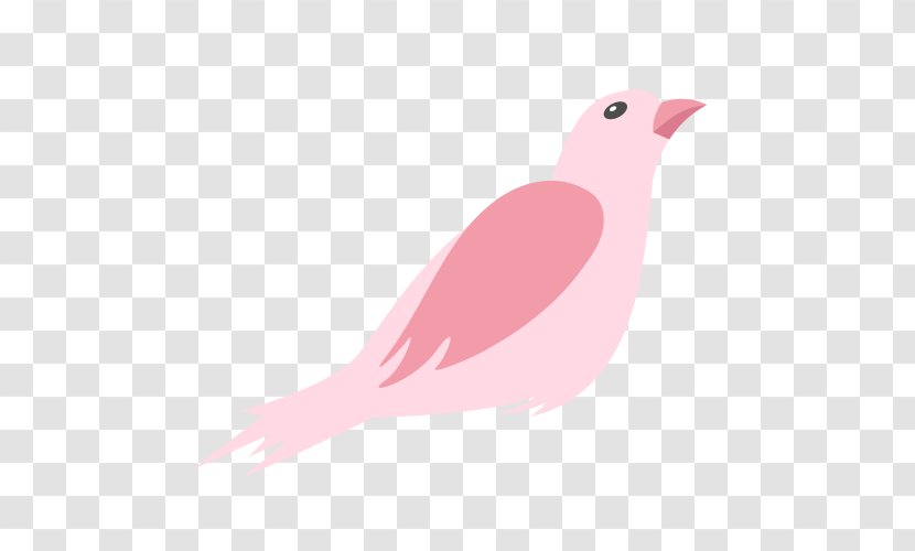 Bird Cartoon Wing Illustration Transparent PNG