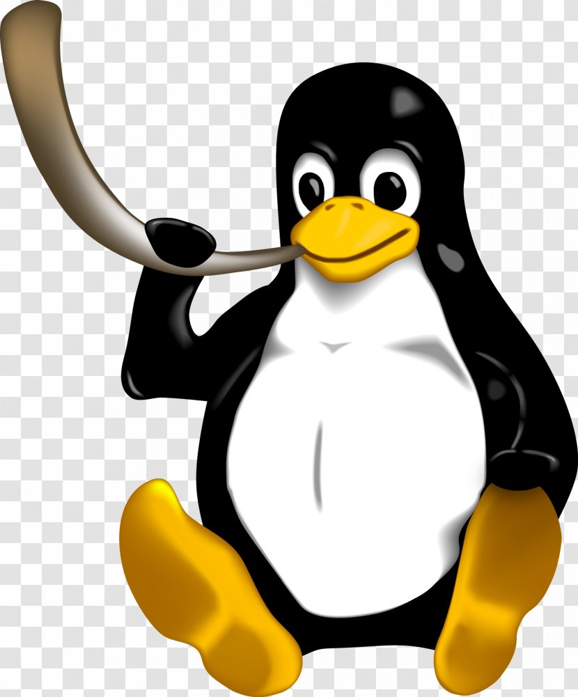 Penguin Tux Linux Ubuntu Avahi - Vertebrate - Tuk Transparent PNG