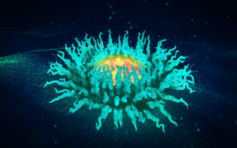 Sea Anemone Dribbble Desktop Wallpaper - Light - Space Transparent PNG