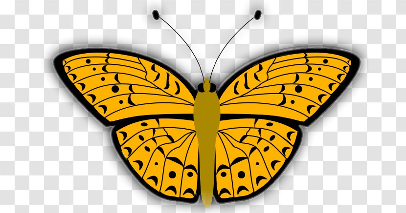 Butterfly Insect Drawing Clip Art - Coloring Book Transparent PNG