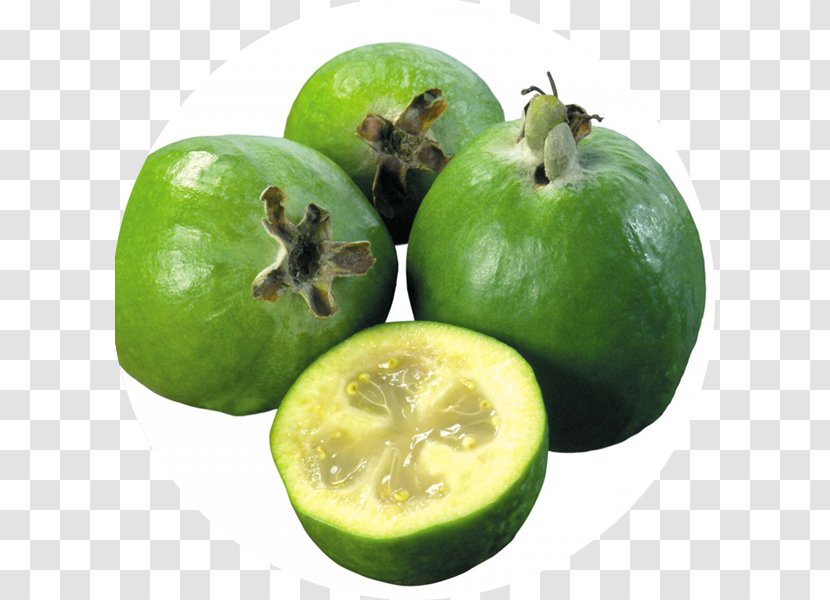 Feijoa Diabetes Mellitus Therapy Fruit Diet - Citrus - Vegetable Transparent PNG