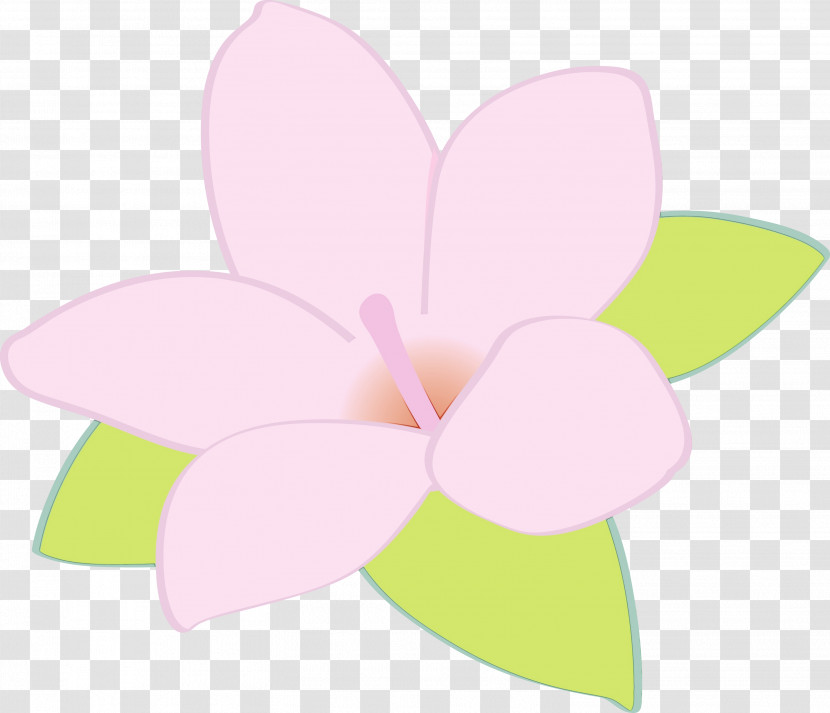 Floral Design Transparent PNG