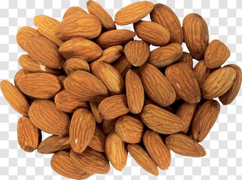 Almond Milk Nutrition Food - Nut Transparent PNG