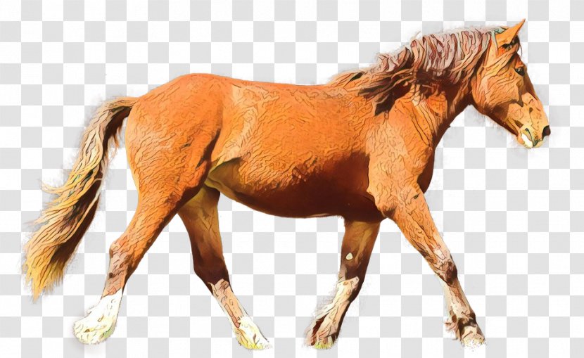 Horse Sorrel Animal Figure Mare Stallion - Mustang - Liver Transparent PNG