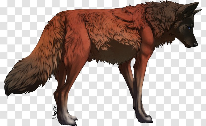 Dog Red Wolf Basior Pack Dhole - Carnivoran Transparent PNG