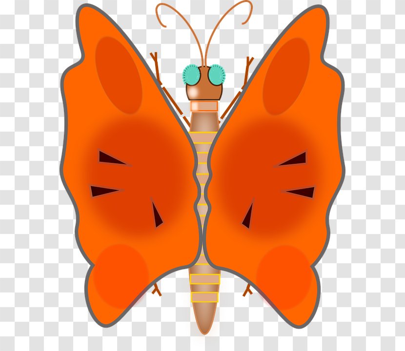 Download Clip Art - Insect - Butterfly Transparent PNG