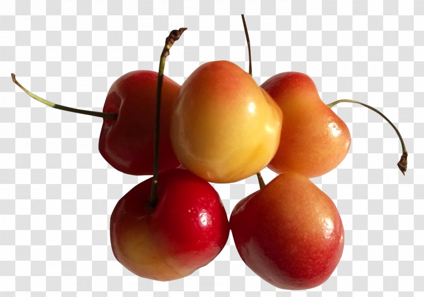 Rainier Cherry Fruit Transparent PNG