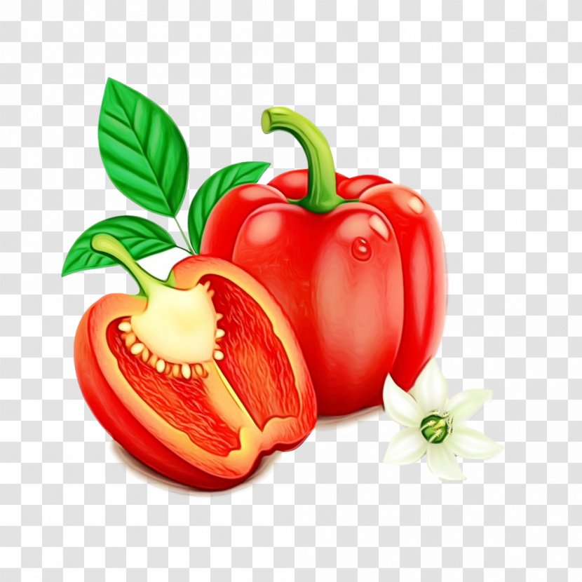 Natural Foods Vegetable Bell Pepper Pimiento Peppers And Chili - Watercolor - Capsicum Paprika Transparent PNG