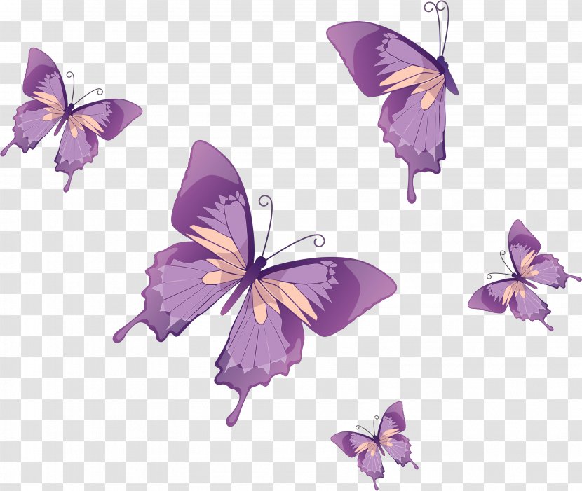 Flower Purple - Lycaenid Pieridae Transparent PNG