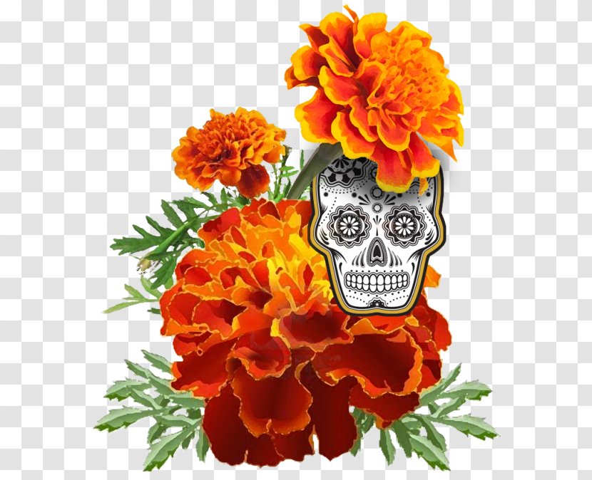 Mexican Marigold Flower Day Of The Dead Stock Photography Calendula Officinalis Transparent PNG