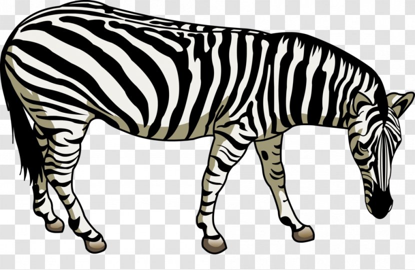 Quagga Horse Zebra - Wildlife Transparent PNG