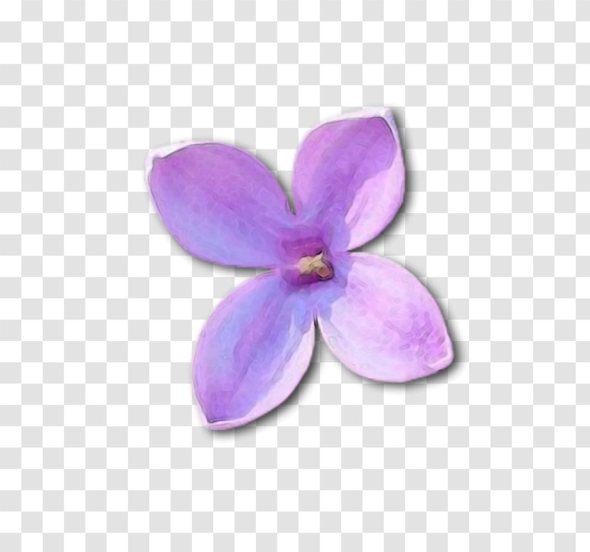Lilac Violet Clip Art - Petal Transparent PNG