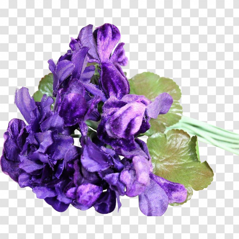 Cut Flowers Violet Petal Corsage - Pearl - Flower Transparent PNG