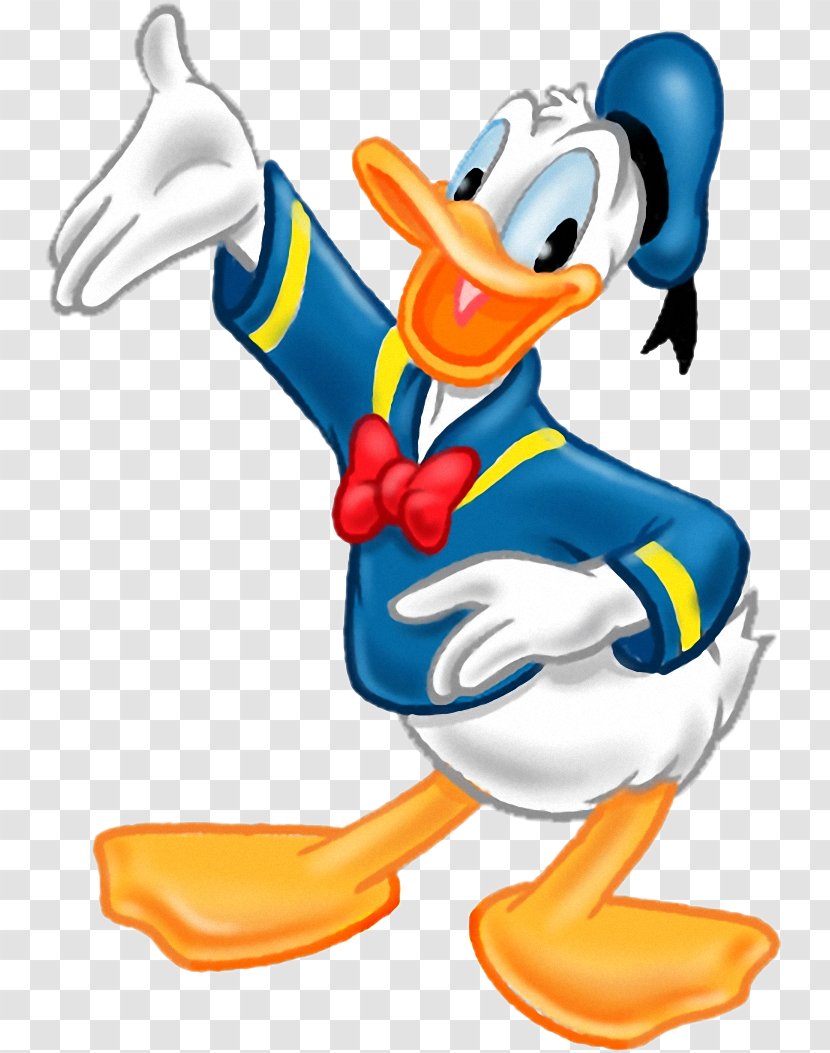 Donald Duck: Goin' Quackers Daisy Duck Minnie Mouse Mickey - Bird Transparent PNG