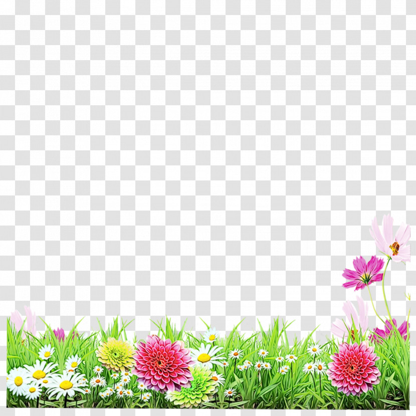 Flower Plant Gerbera Petal Wildflower Transparent PNG