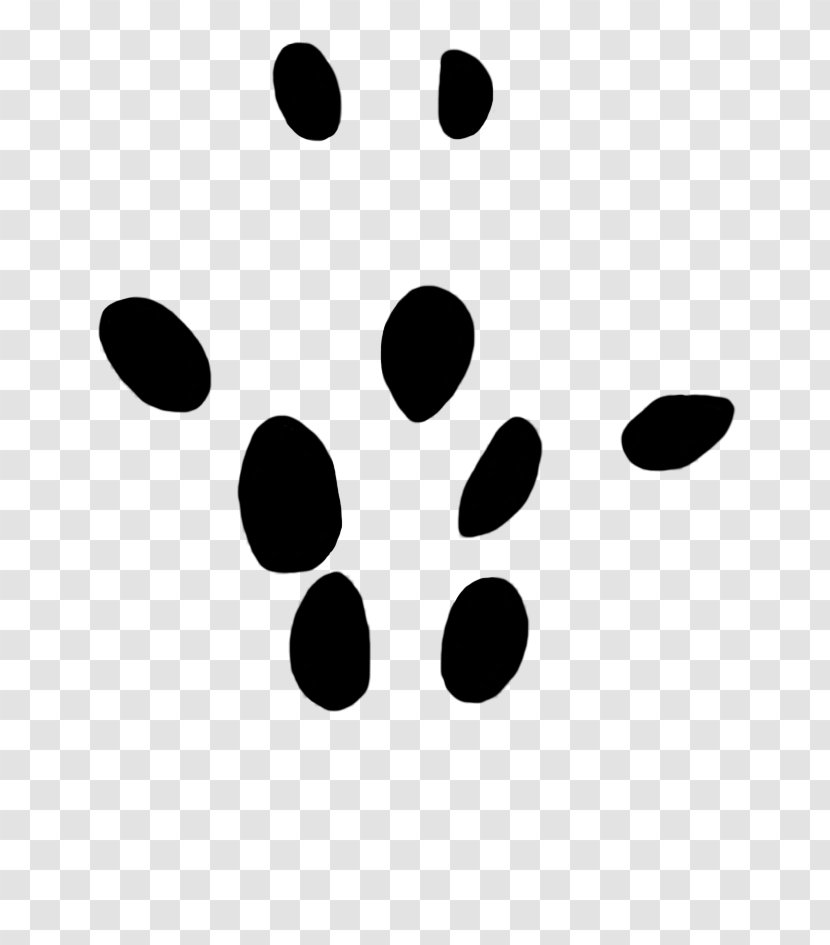Paw Tiger Dog Moles Clip Art Transparent PNG
