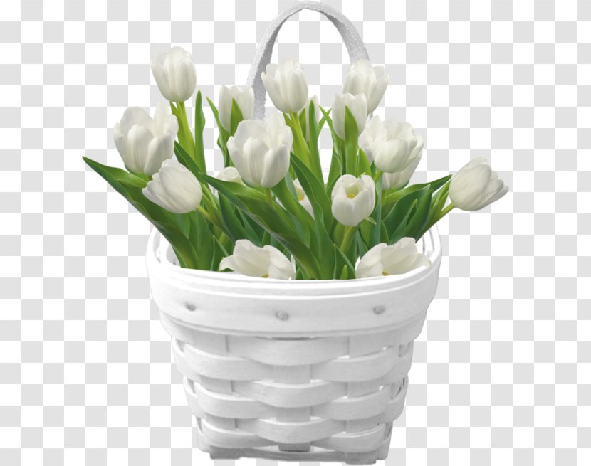 Tulip Flower Bouquet Desktop Wallpaper - Color - Tulips Transparent PNG