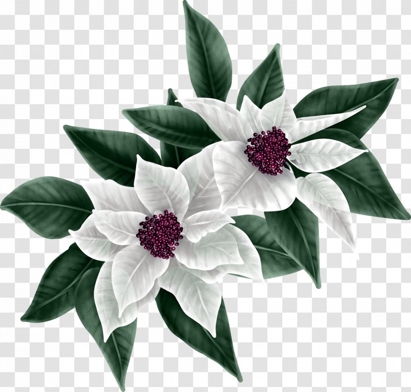 Cut Flowers Flowering Plant Common Lilac - Express Train Kiss Transparent PNG