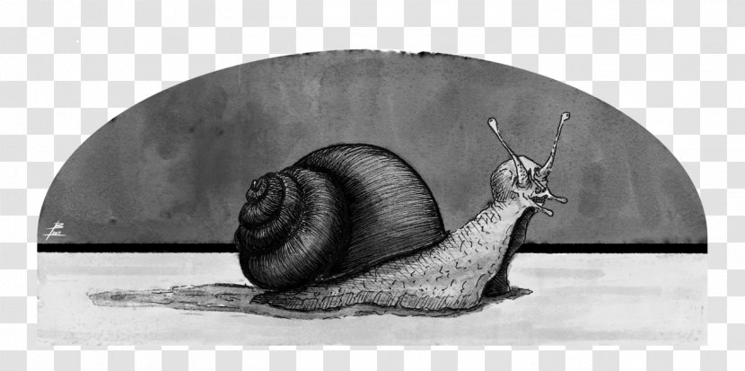 Snail Uzumaki Sketch Horror Comics Slug - Monochrome - Scary Ok Bye Transparent PNG