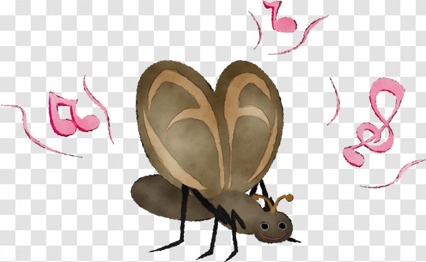 Insect Butterfly Moths And Butterflies Pollinator Animation Transparent PNG