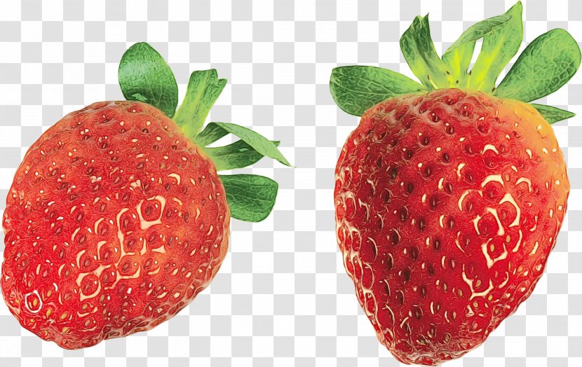 Watercolor Natural - Alpine Strawberry - Seedless Fruit Transparent PNG