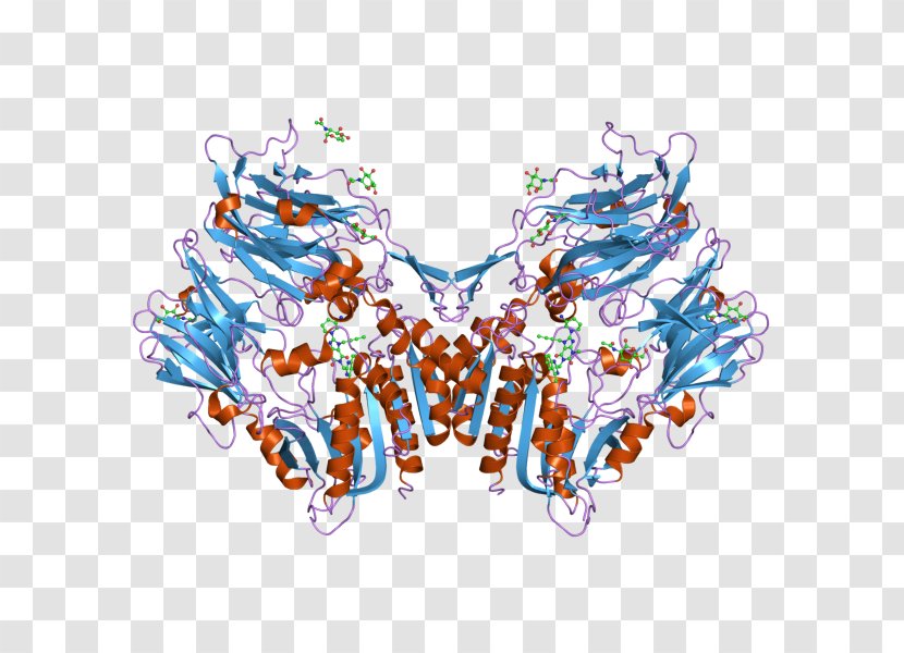 Dipeptidyl Peptidase-4 Inhibitor Enzyme Protease Protein - Tree - Flower Transparent PNG