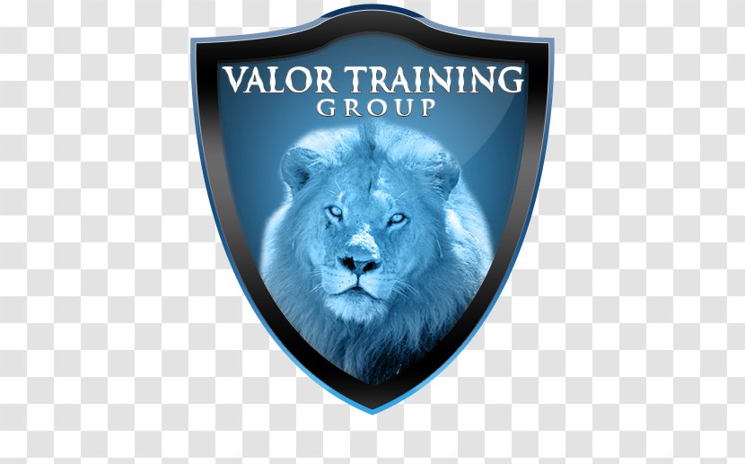 Valor Training Group Professional BALOO - Job Transparent PNG