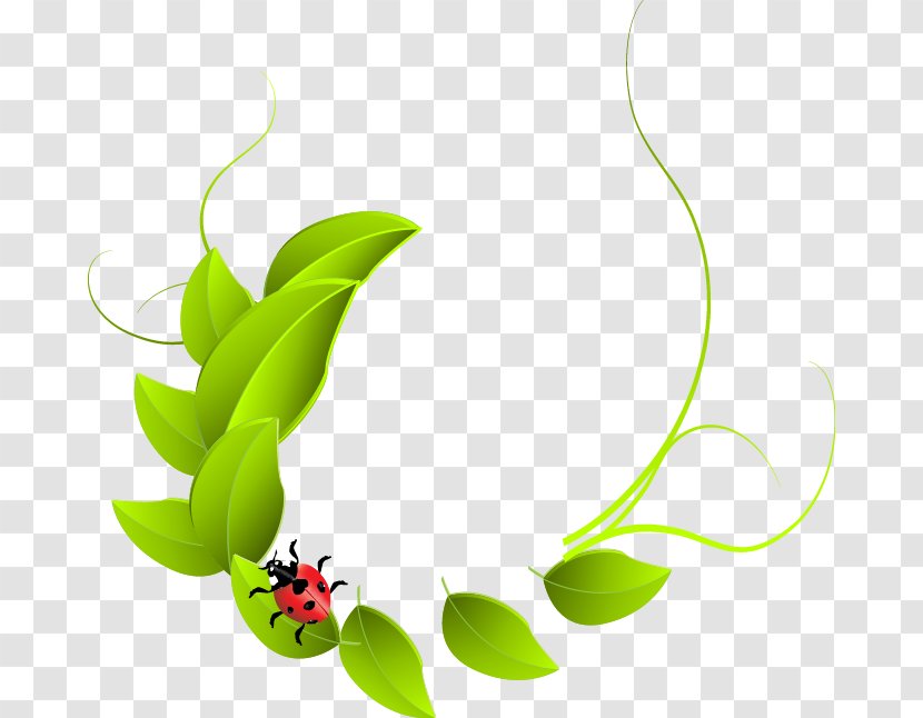 Dialog Box Clip Art - Painted Green Leaves Ladybug Pattern Transparent PNG