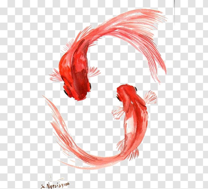 Koi Goldfish Painting World Without Fish - Red Transparent PNG