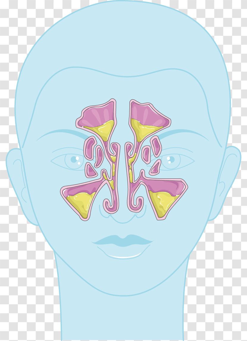 Nose Sinus Infection Child Chronic Condition Swelling - Heart Transparent PNG
