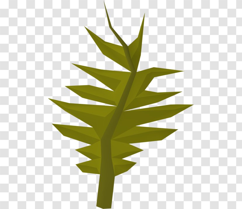 Old School RuneScape Wikia Plant - Wiki - Swamp Transparent PNG