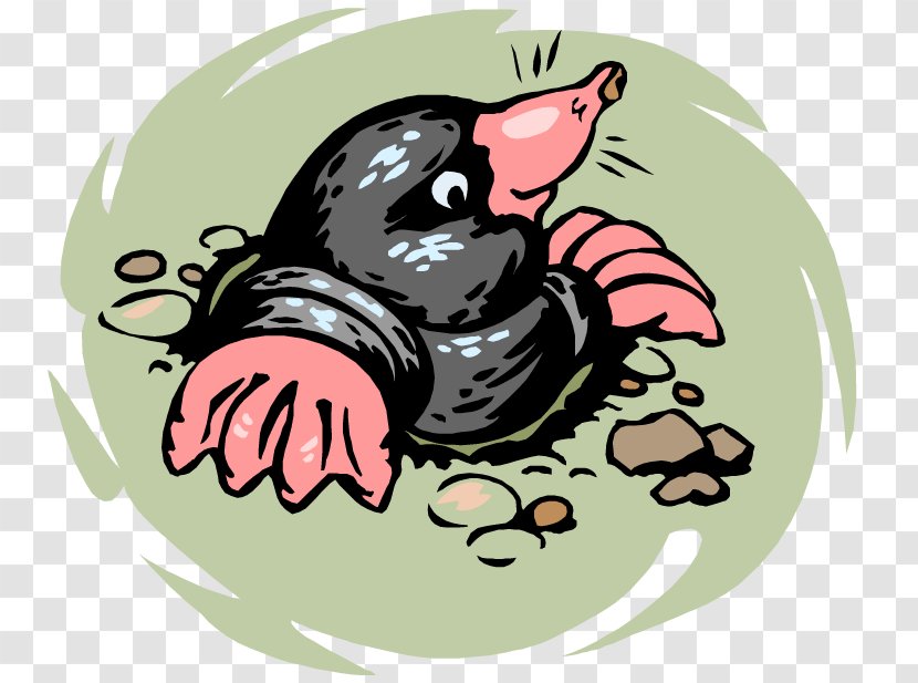European Mole Biology Talpidae Moles Clip Art Transparent PNG