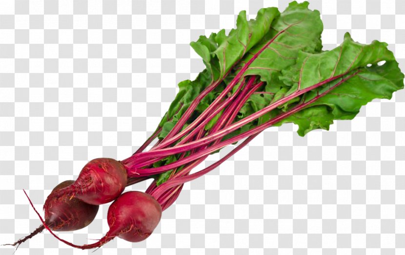 Chenopodiaceae Amaranthaceae Amaranthus Retroflexus Beetroot Atriplex - Root Vegetables - Beet Transparent PNG