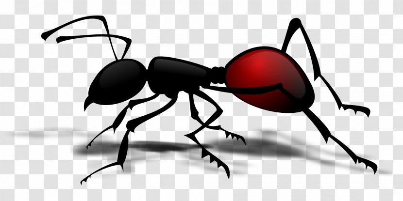 Black Garden Ant Insect Clip Art - Cartoon Transparent PNG