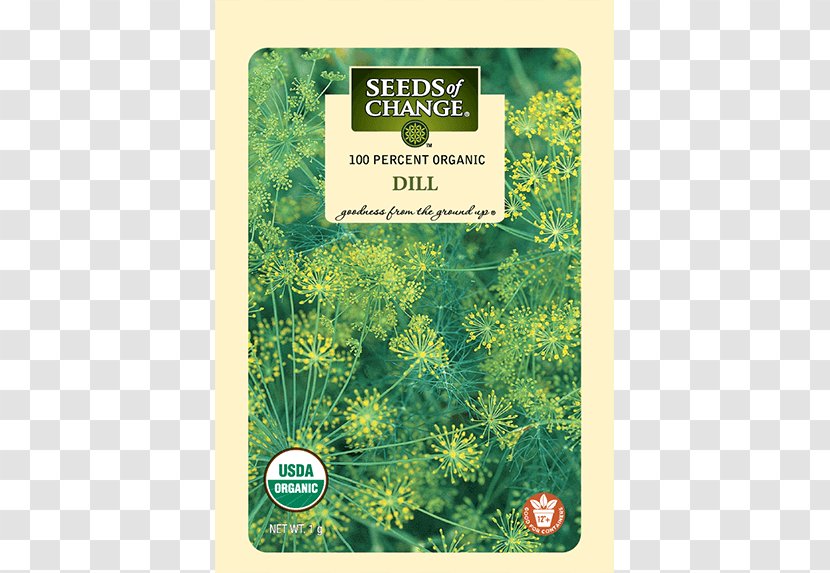 Herbalism Dill Organic Food - Seed - Herbs Flowers Plant Grow Eat Transparent PNG