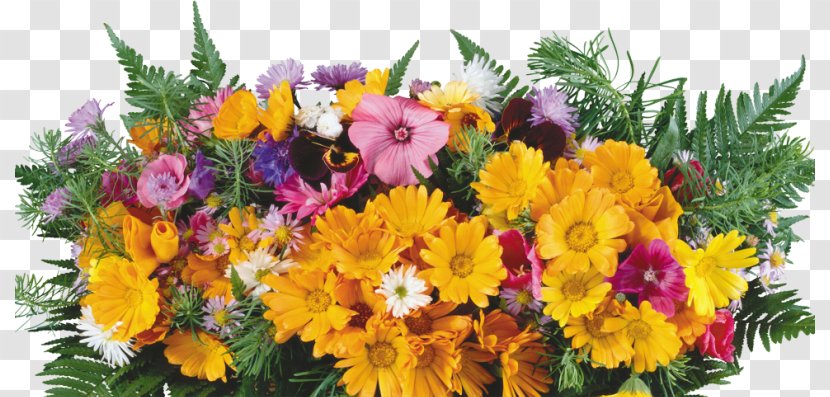 Flower Chrysanthemum Floristry Plant - Celebration Flowers Label Transparent PNG