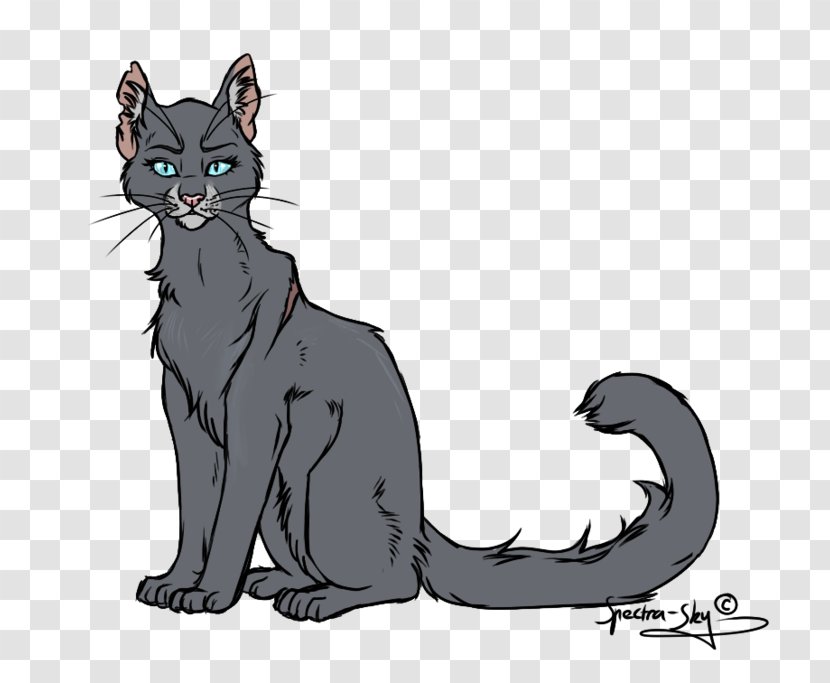 Kitten Cartoon - Paw - Oriental Longhair Transparent PNG