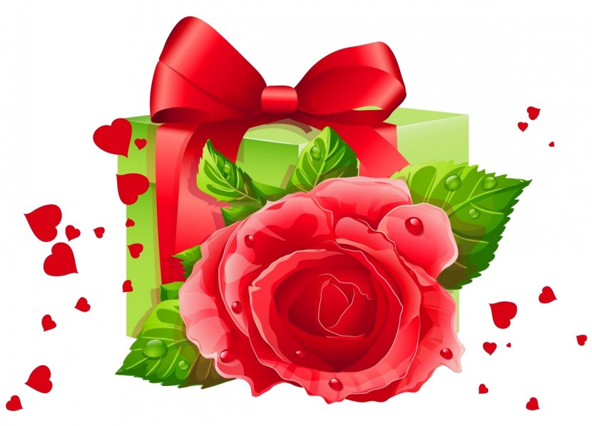 Garden Roses Valentine's Day Flower Petal Transparent PNG