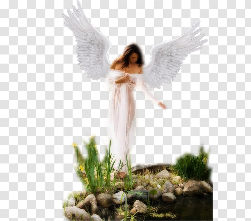 Angels White Angel Guardian - Song Transparent PNG