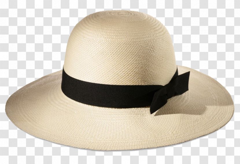 Fedora Sun Hat The Pain Companion: Everyday Wisdom For Living With And Moving Beyond Chronic Cap - Hatmaking Transparent PNG