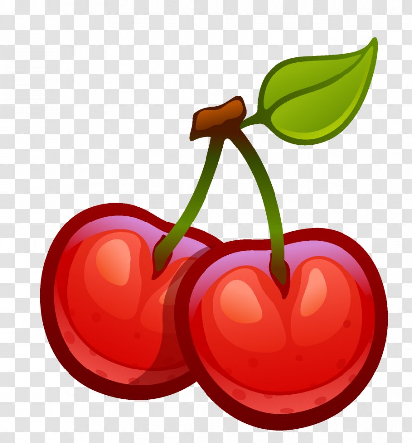 Cerasus Cherry Drawing Clip Art - Food Transparent PNG