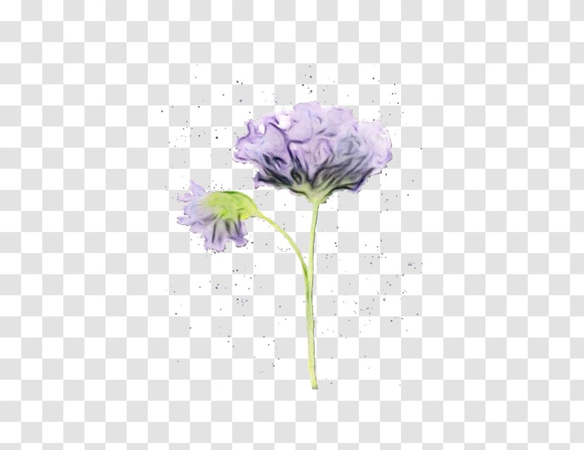Purple Watercolor Flower - Lavender - Perennial Plant Paint Transparent PNG