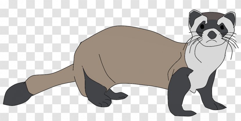 Ferret Whiskers Cat Dog Raccoon Transparent PNG